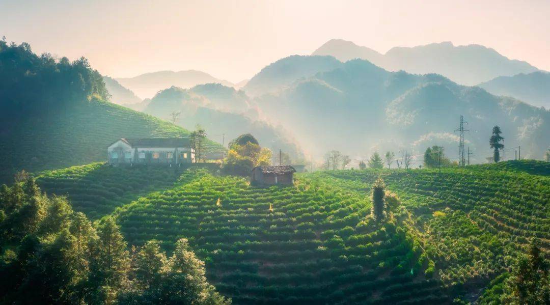 名單公示!九華山花臺等多家景區及鄉村上榜_旅遊_安徽省_池州