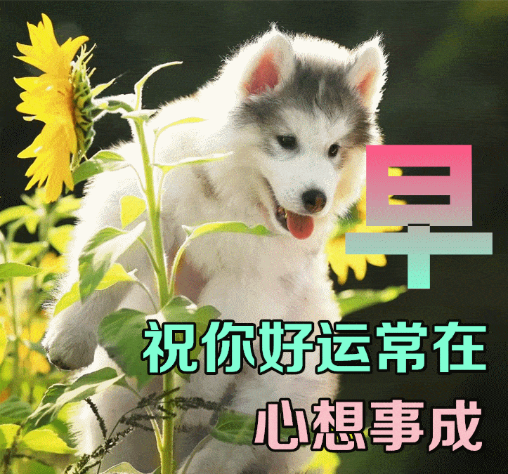 生活态度_问候早安的句子_人生感悟