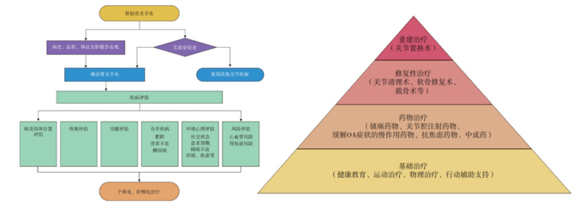 骨关节炎该怎么治？多篇指南送你答案_治疗_管理_针灸