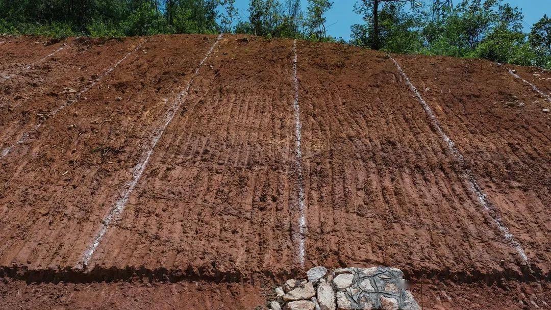 【中铁十一局】当远铁路建设纪实(2023年7月)_远安县_基础_隧道