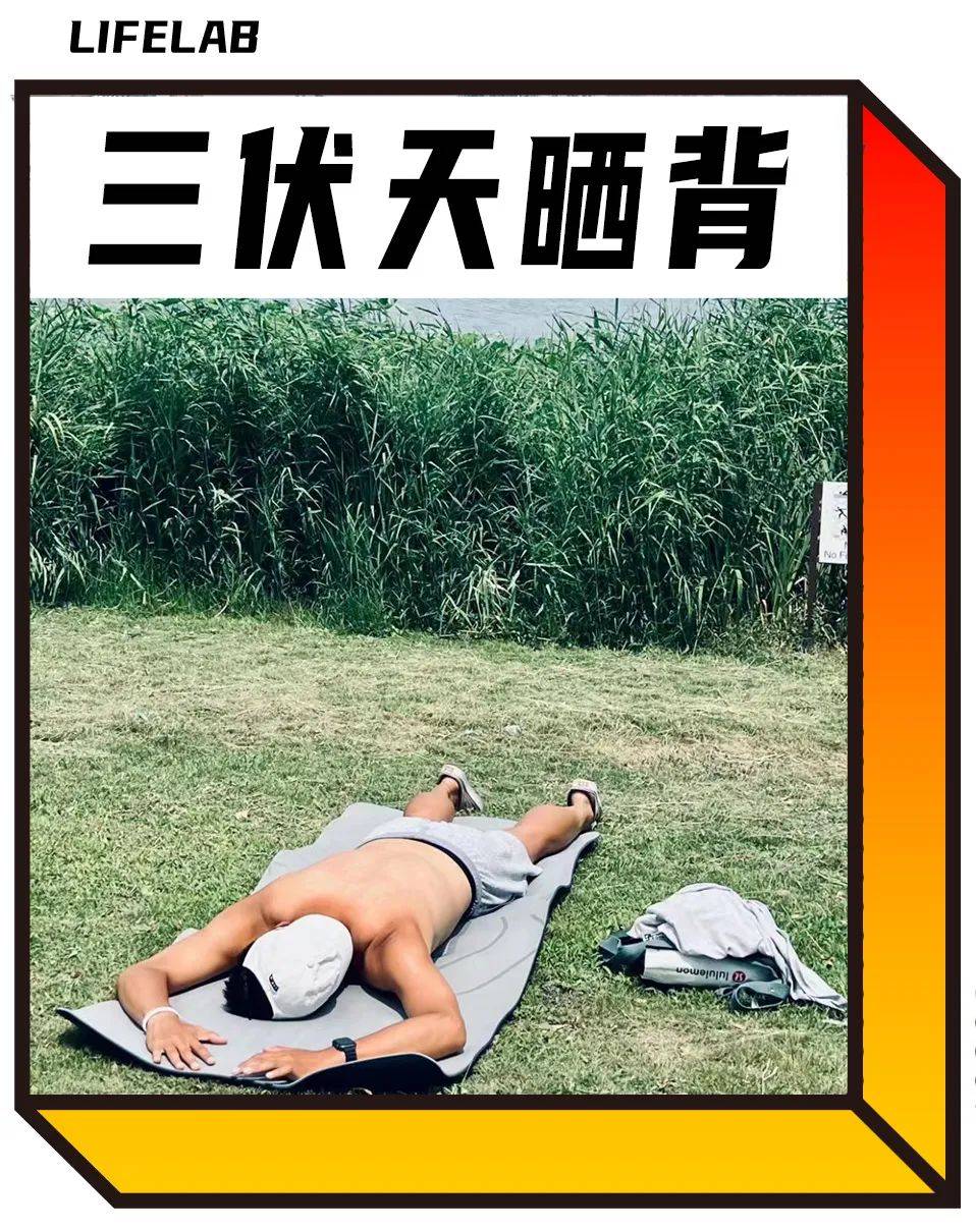 三伏天在户外“晒背”,跟风它的年轻人晒晕了吗_养生_宝妮_太阳