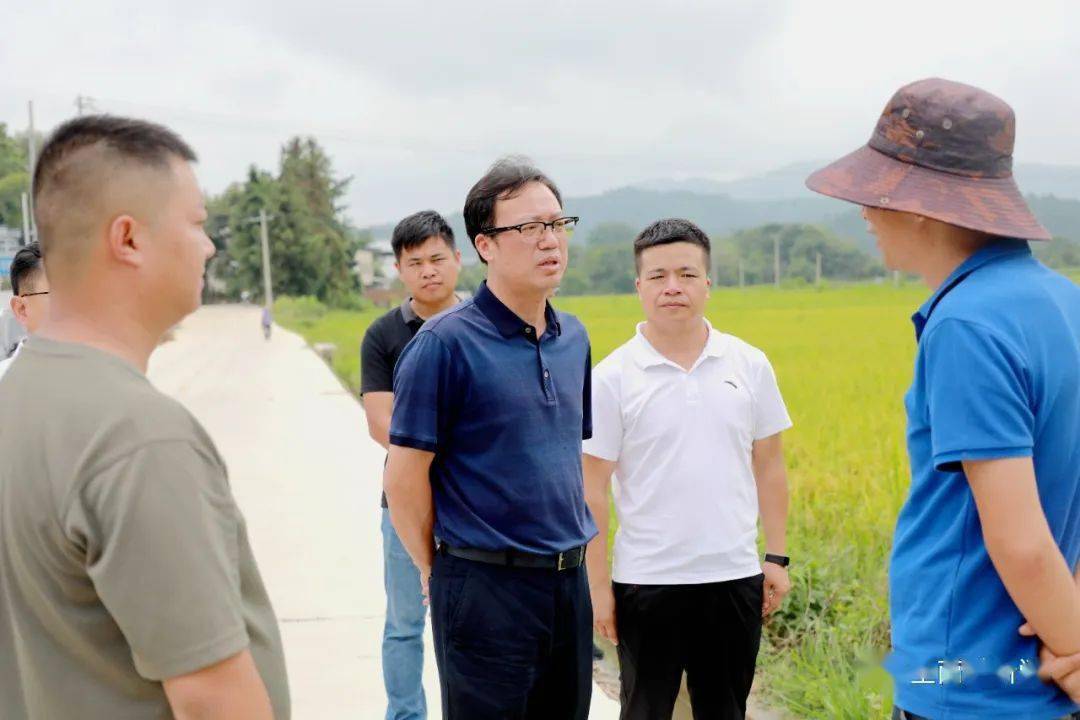 曾平深入一线调研乡村振兴等工作_发展_全南县_产业