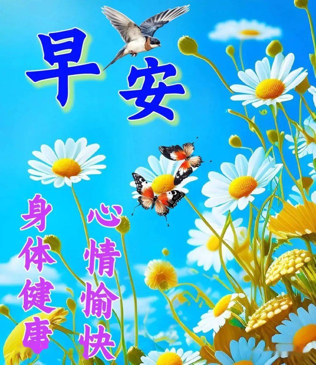 健康快乐早上好 祝福图片