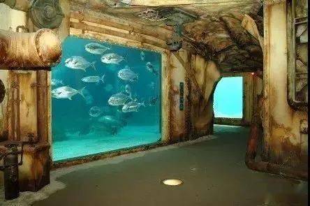 全世界不能错过的水族馆,柏林水族馆!_文章_网络_信息