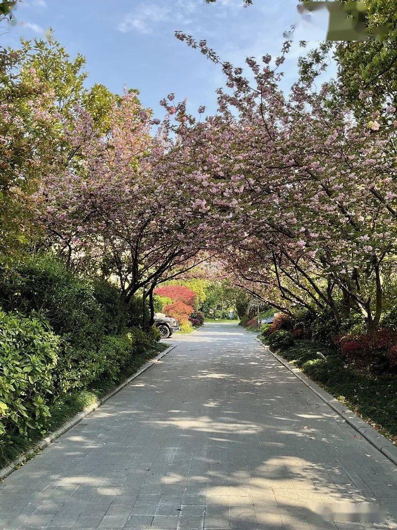 约602.78平独幢别墅丨坐北朝南,南进门