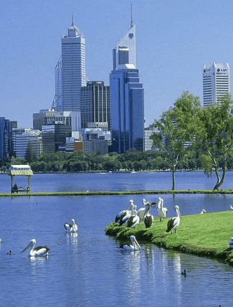 接下来一个月,澳大利亚和新西兰的留学生们做梦都要笑醒了吧?