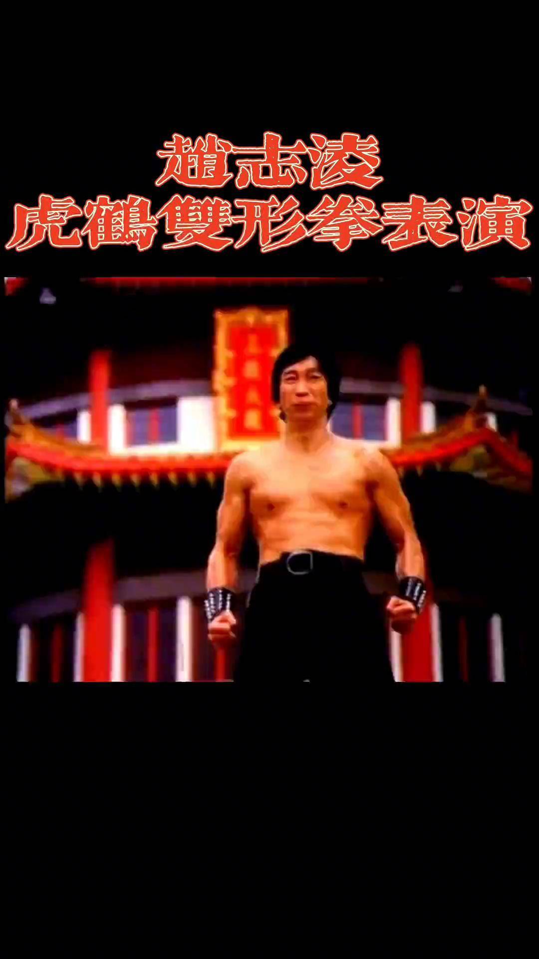 创作灵感 洪拳大师赵志凌表演虎鹤双形拳.武术 洪拳赵志凌 表演