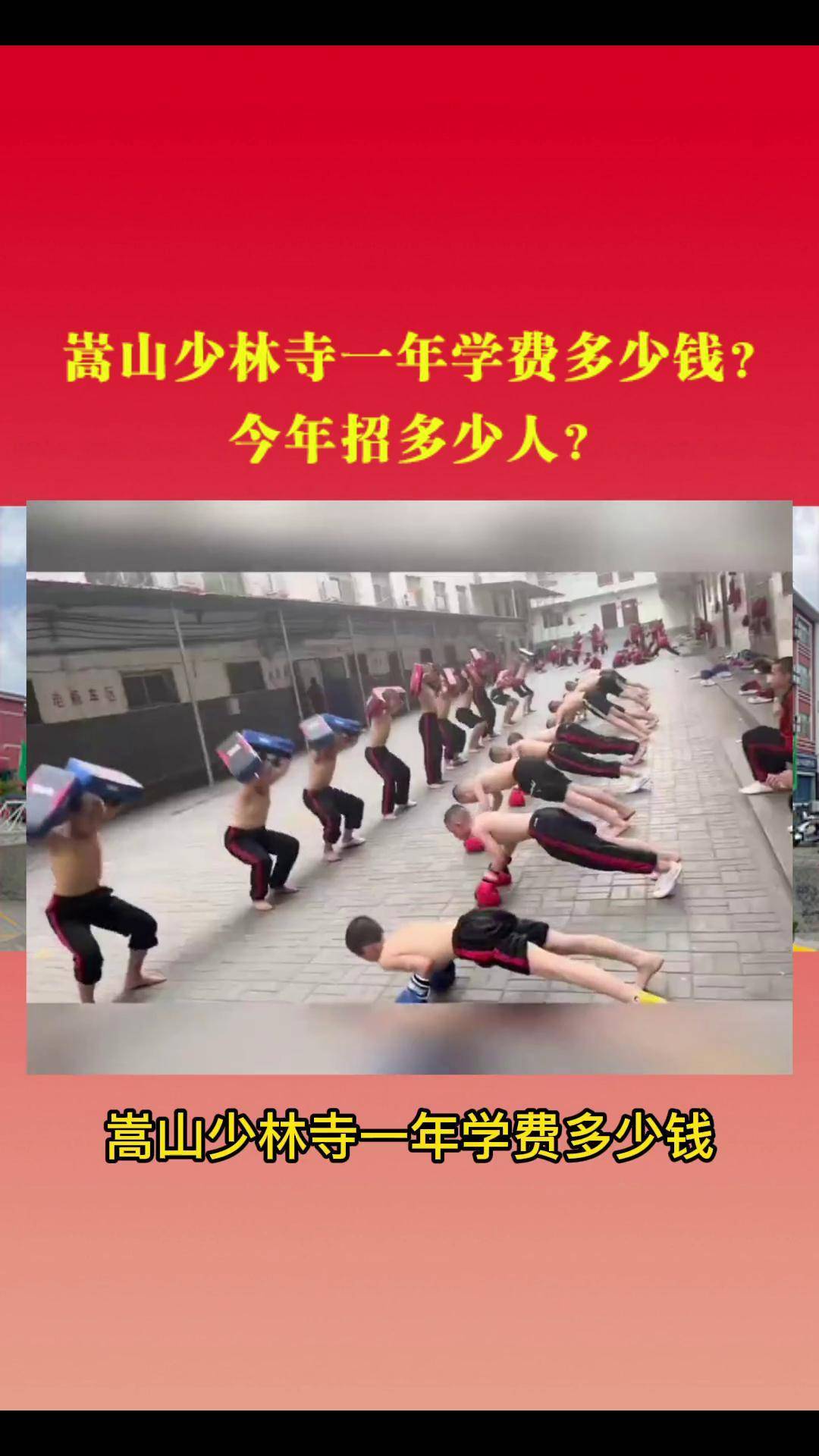 嵩山少林寺武术学院：武术传承与现代教育的独特融合