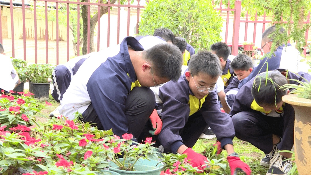 【石屏高級中學學生 胡垚煦】學校的花圃從當初荒涼的雜草地變成如今