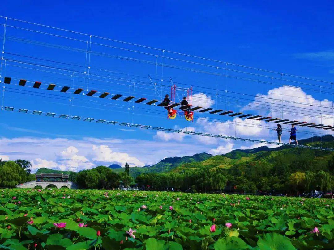 在西安丝路欢乐世界,玩转缤纷夏日的无限精彩;在宝鸡关山草原,邂逅