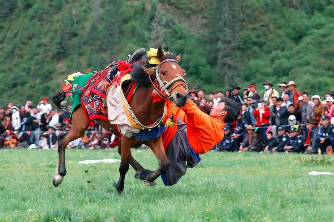 马术表演,锅庄展演,美食体验……一场场精彩纷呈的文化盛会点燃新龙
