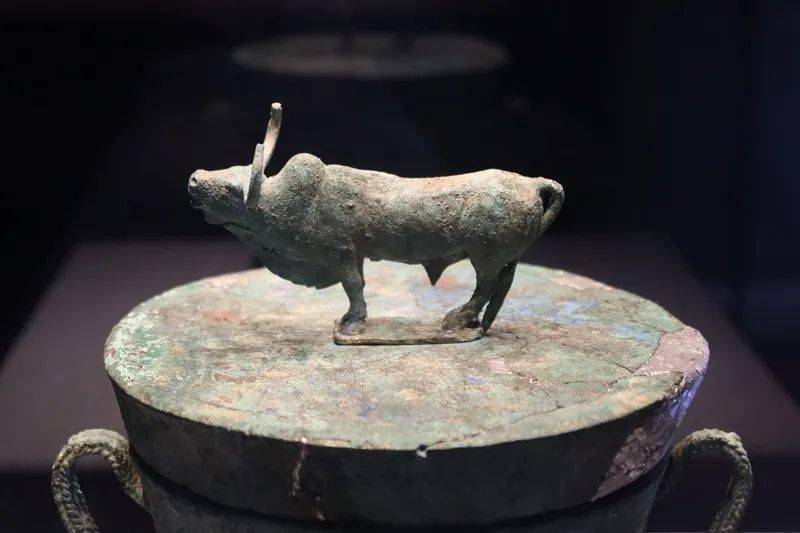 到青铜器博物馆,了解江川古滇文化和青铜文化;在大头鱼饭店,了解江川