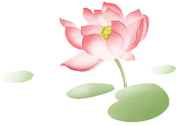 大暑,约一程浪漫,等你踏香而来作者︱蝴蝶 朗诵︱焦文利大暑江南的