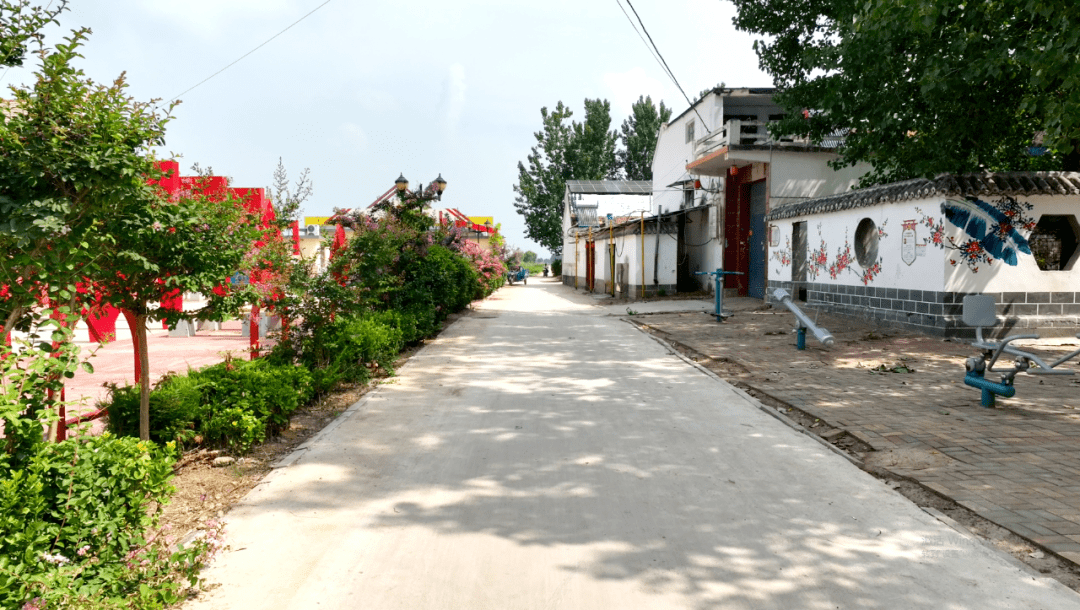 罗屯镇随海村:绘就乡村振兴新画卷【鱼台故事—村庄】_种植_发展_服务