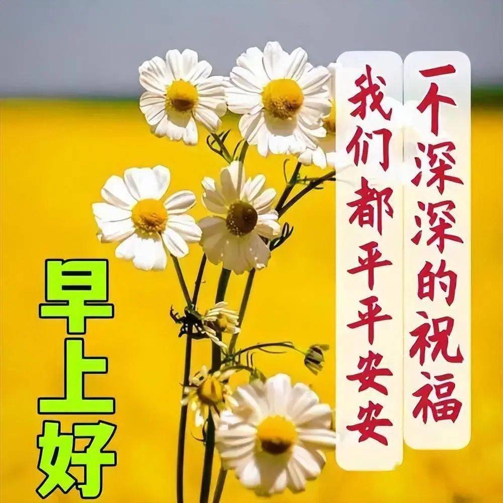 我们都要平平安安图片图片