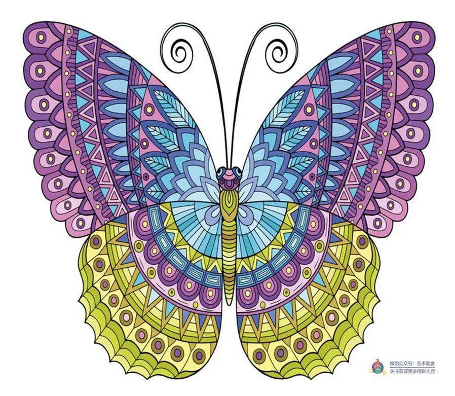 线描画 | 蝴蝶线描不会画?这组素材应该好好收藏!_水彩_知识
