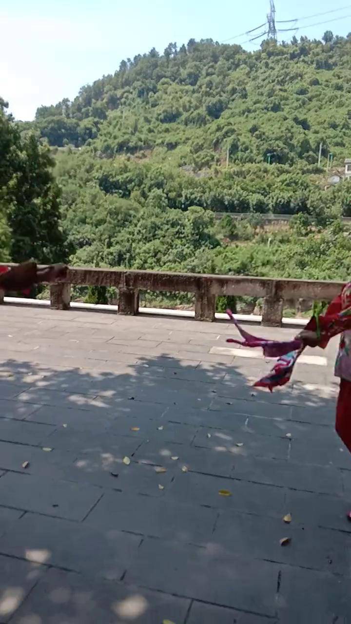 五梅花之一古蔺花灯永乐花灯班