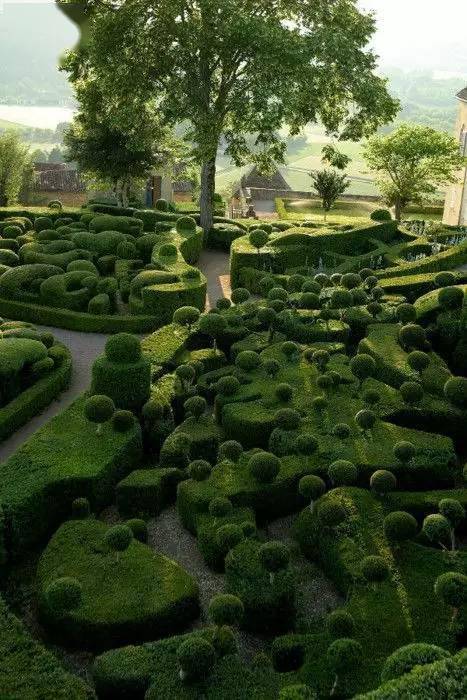 如果球形灌木都能剪成这样._植物_造型_修剪