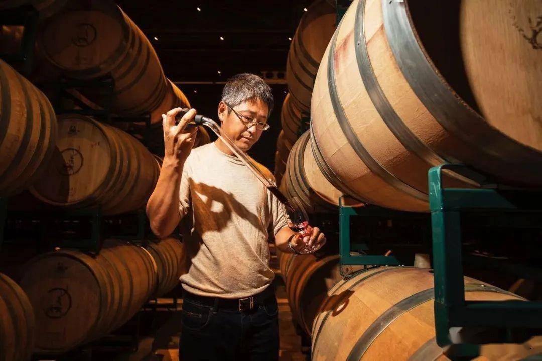 西鸽六年跨越:从0到1是悬崖峭壁,从1到10是水到渠成_酒庄_张言_中国