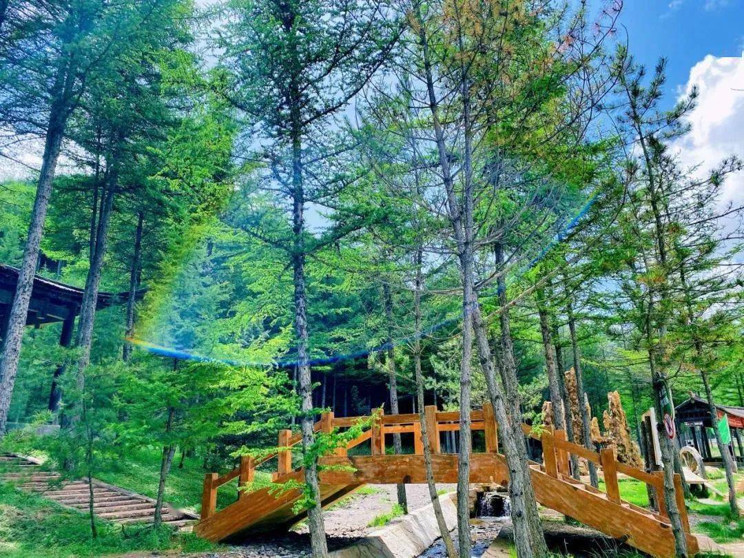 宁静的夏天·凉爽的固原 ▏"荷"你邂逅在清凉野荷谷_六盘山_宁夏_人群