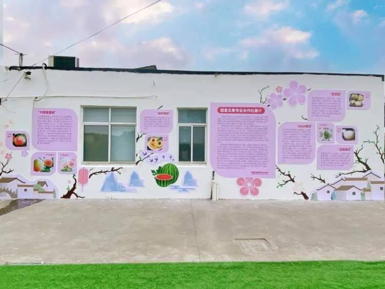 当艺术设计融入乡村振兴,会擦出怎样的火花?_水蜜桃_上海_农村合作社