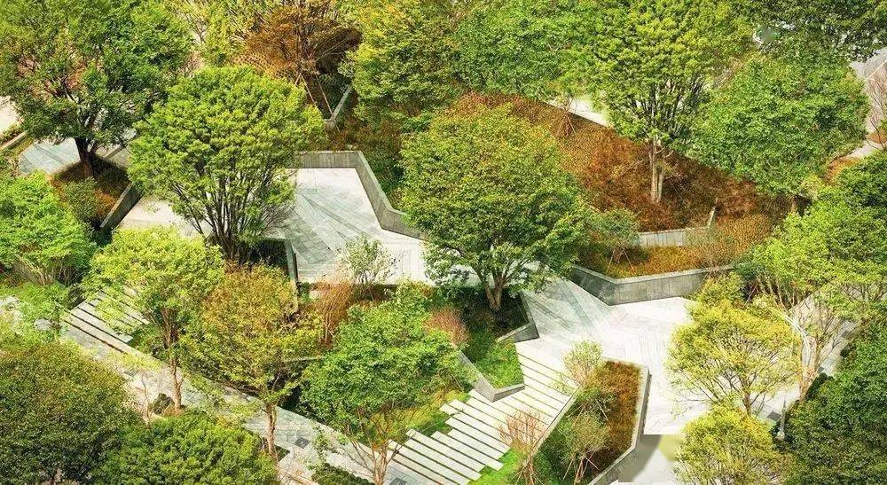 庭院植物设计,营造十足空间感_场地_special_宽度