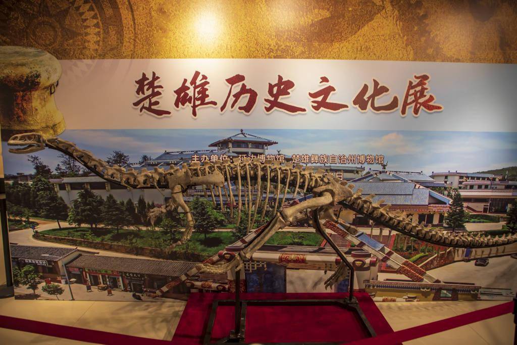 "楚雄历史文化展"亮相吉林延边博物馆_中国_视觉_恐龙
