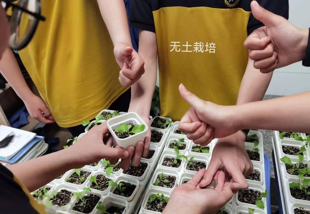 黄岩实验中学这个案例入选省第十九,二十批"双减"优秀实践案例_课程