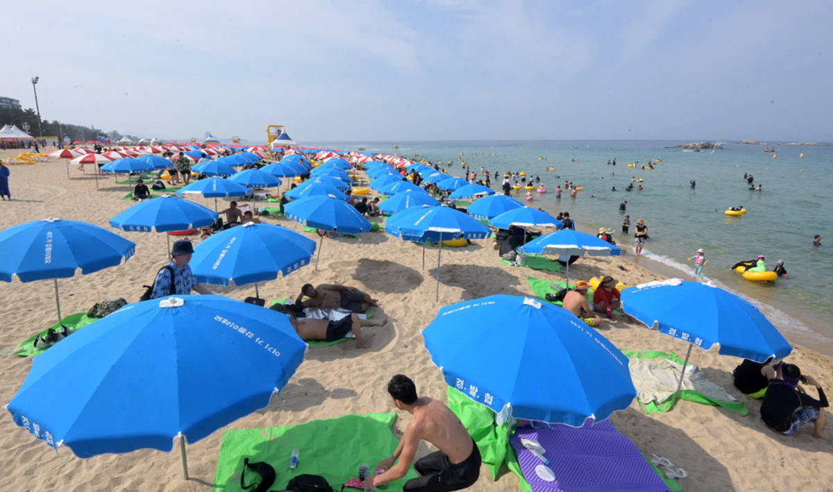 早安·世界｜韩国周末高温天气已造成至少17人身亡_搜狐网