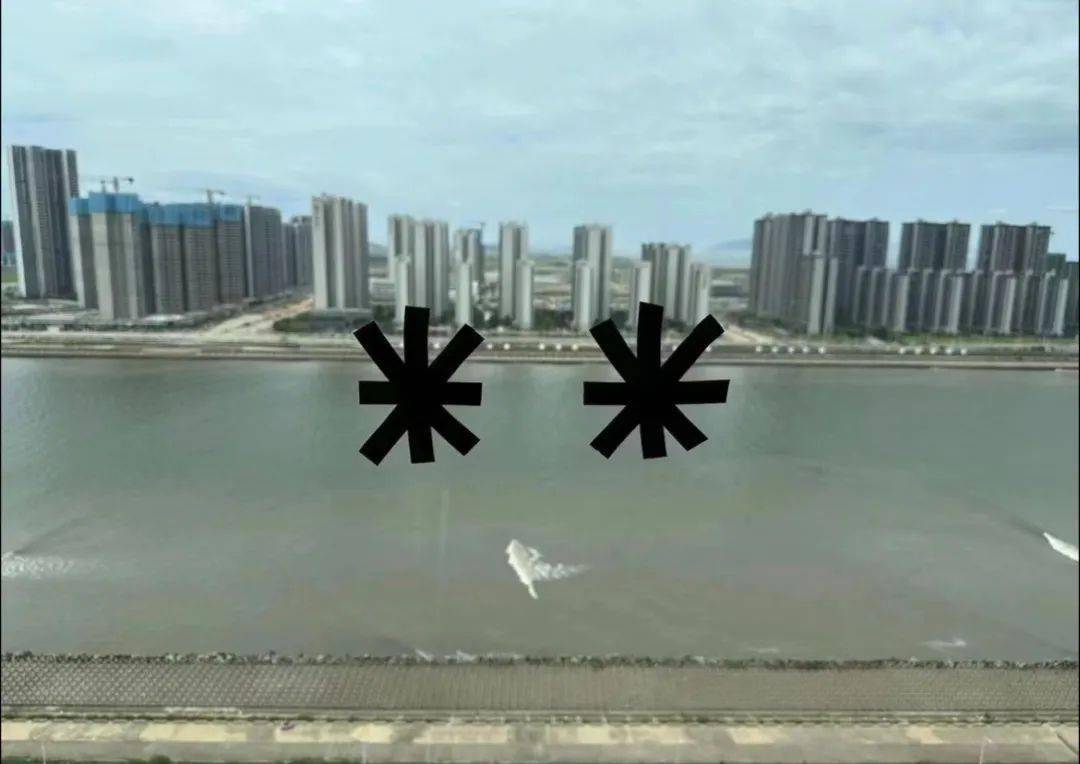 福建人是如何对抗台风的?_莫兰蒂_窗户_厦门