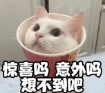 蒸汽眼罩有啥用，能祛眼袋眼纹、黑眼圈吗