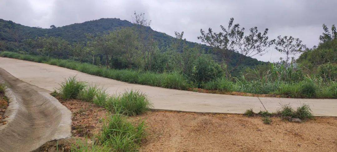 乡村步行道:大坪街道62奇峰门口62马峰山_水库_小道_路段