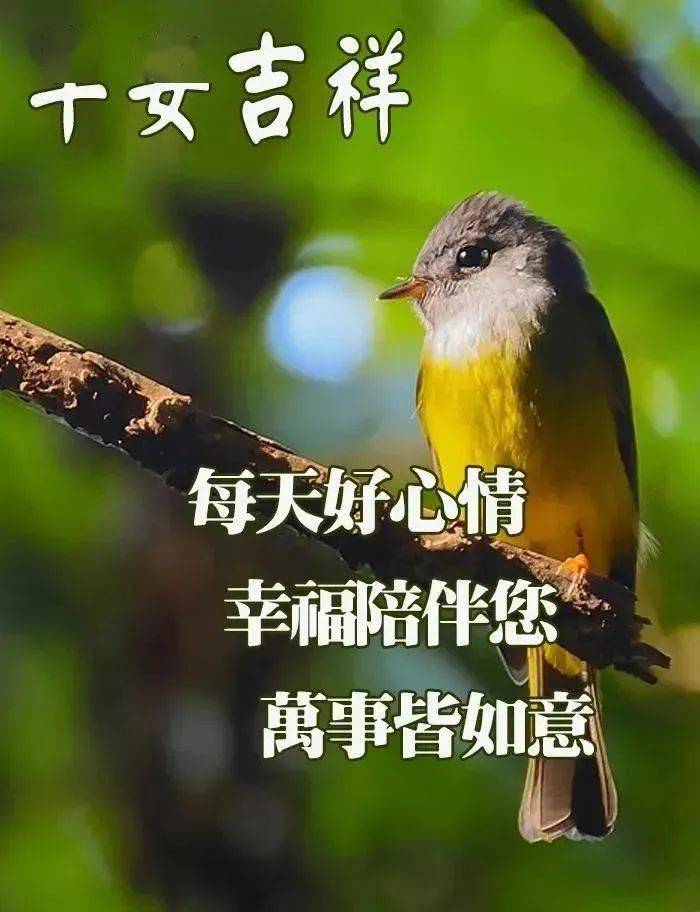 2023最新早上好表情包,天气炎热,注意防暑,快乐一整夏_祝福_阳光_生命