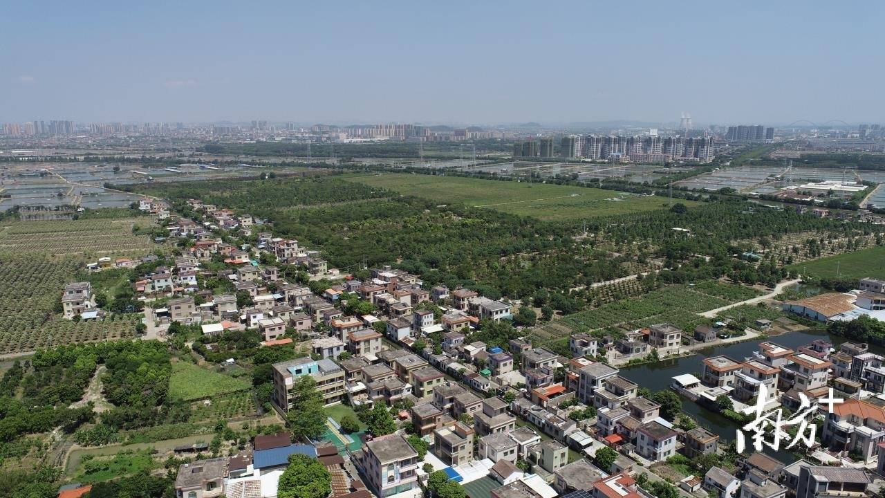 中山民众街道依法开展涉水违建集中清拆_三墩村_岸线_村民