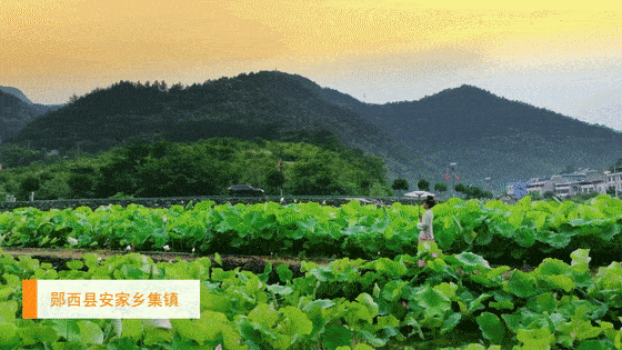 99郧西县涧池乡下营村99郧西县关防乡沙沟村99武当山特区太极湖