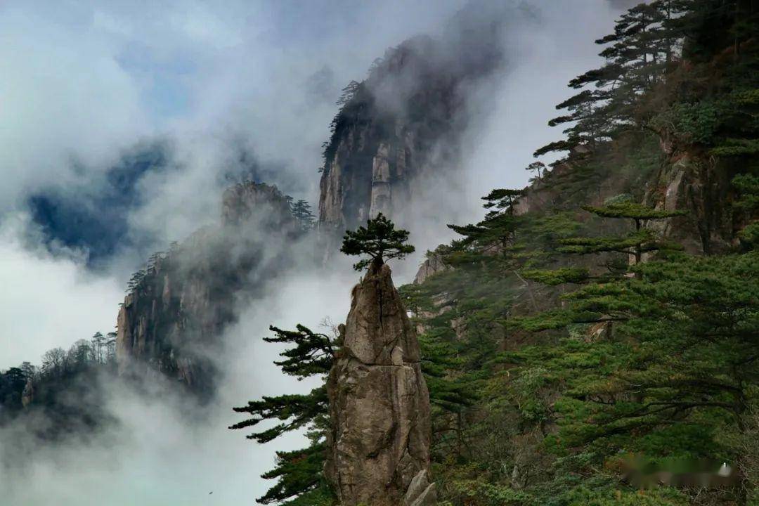 定海神针简介图片