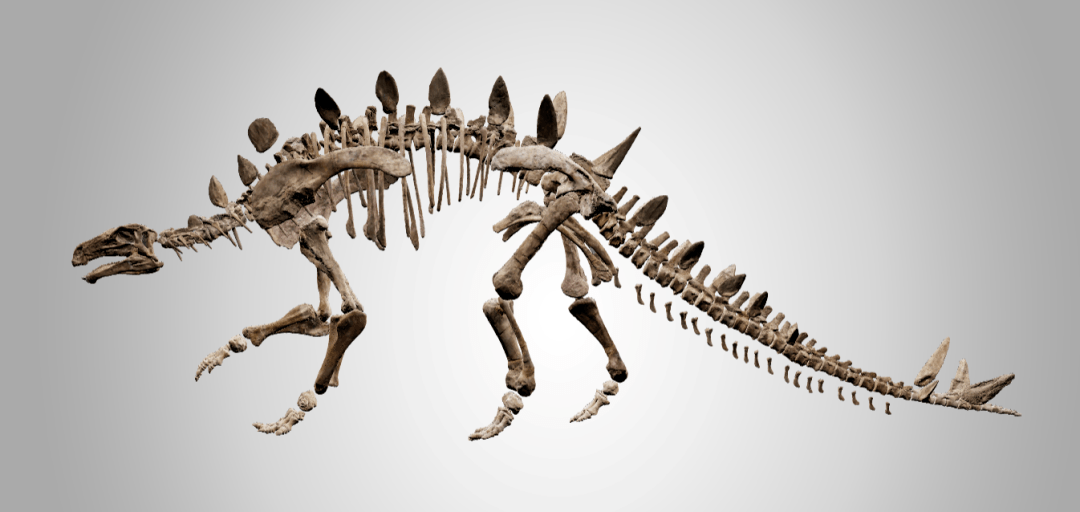 华阳龙邮票太白华阳龙和诗仙李白一样,是四