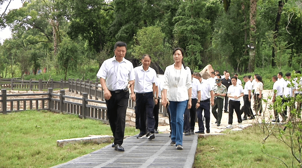察看卫闽镇外石村古树林保护项目(鄢传奇 摄)会前,陈显卿,郭绯红分别