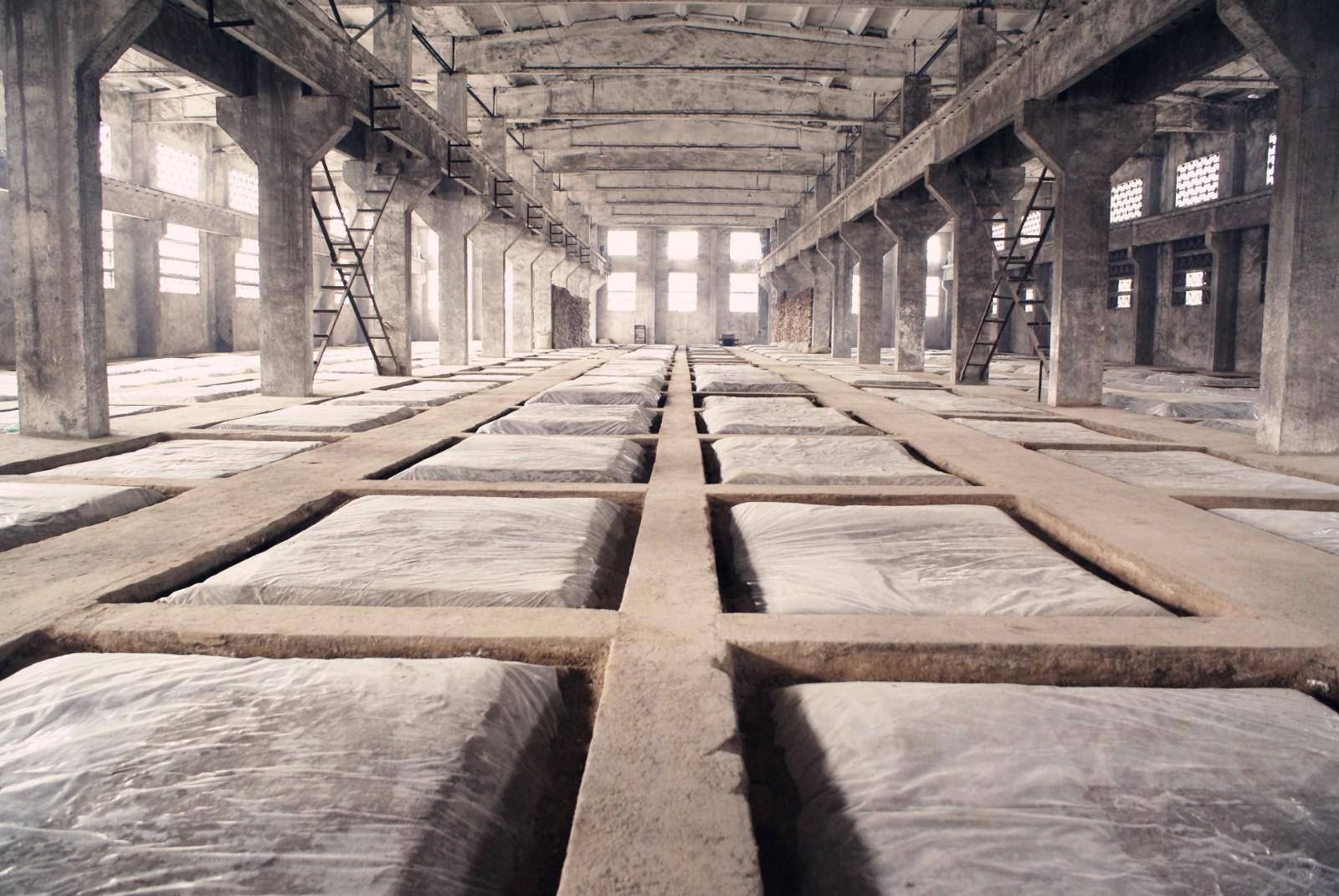 历史长河里的宋河酒_鹿邑_中国_河南省