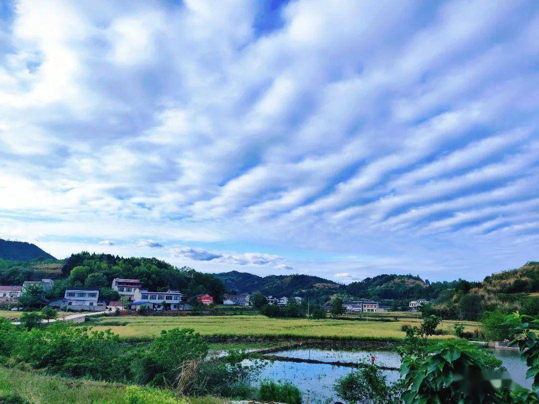 兴隆镇万福镇太安镇永太镇白云下的中江步步是景,处处是画这样的中江
