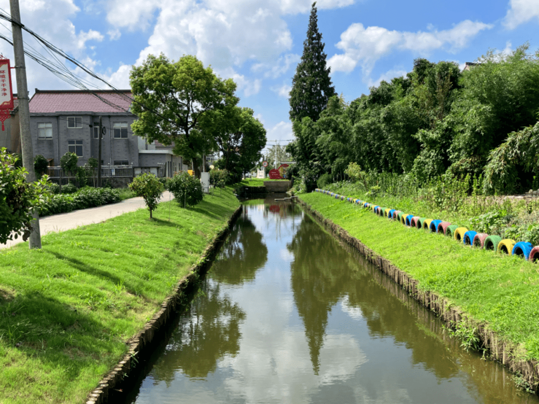 整改前后对比果然不一样_扬中市_八桥镇_生态