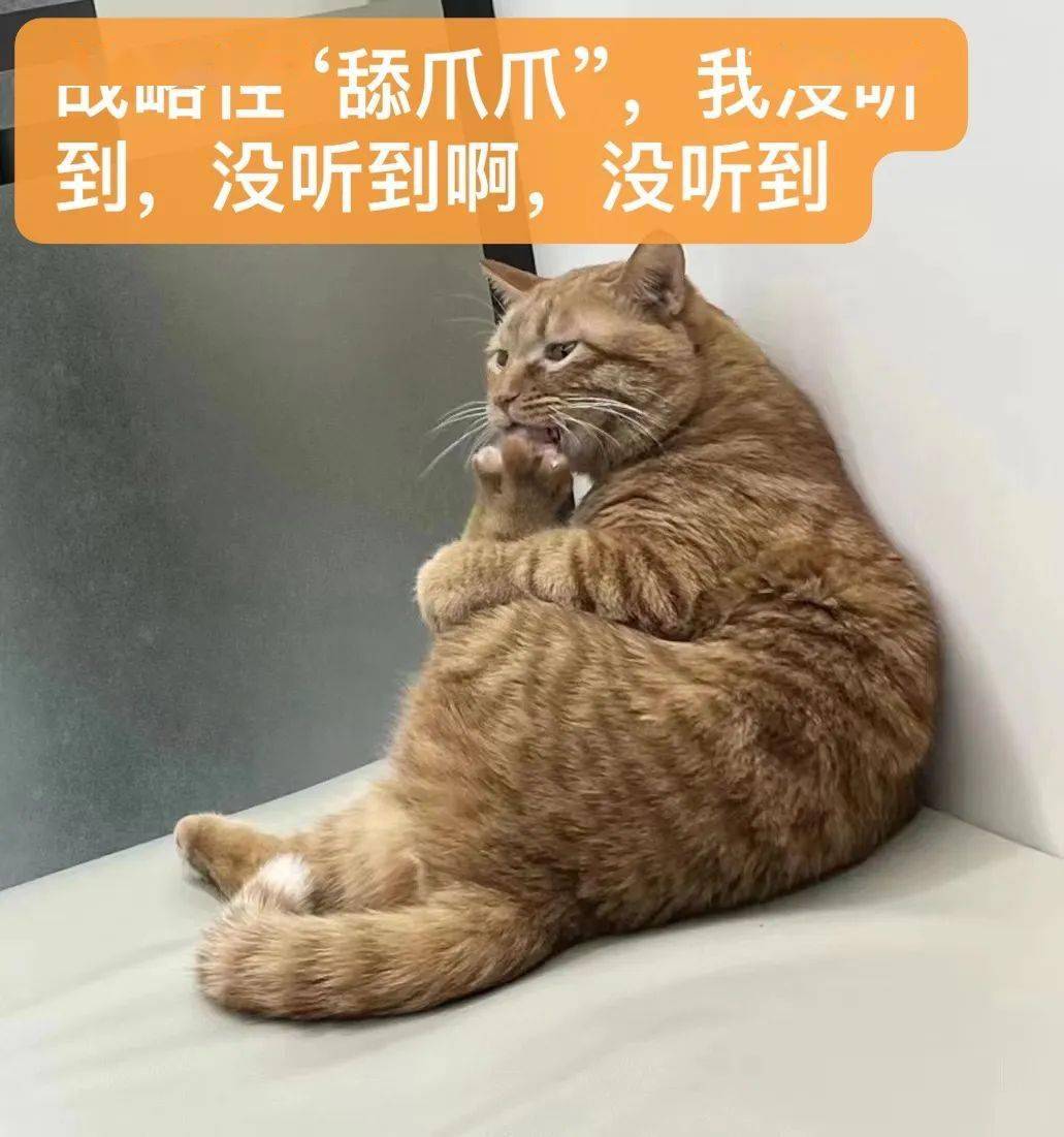 给吃瓜群众们,贡献了很多意想不到的表情包~~自比赛开幕以来,一大批