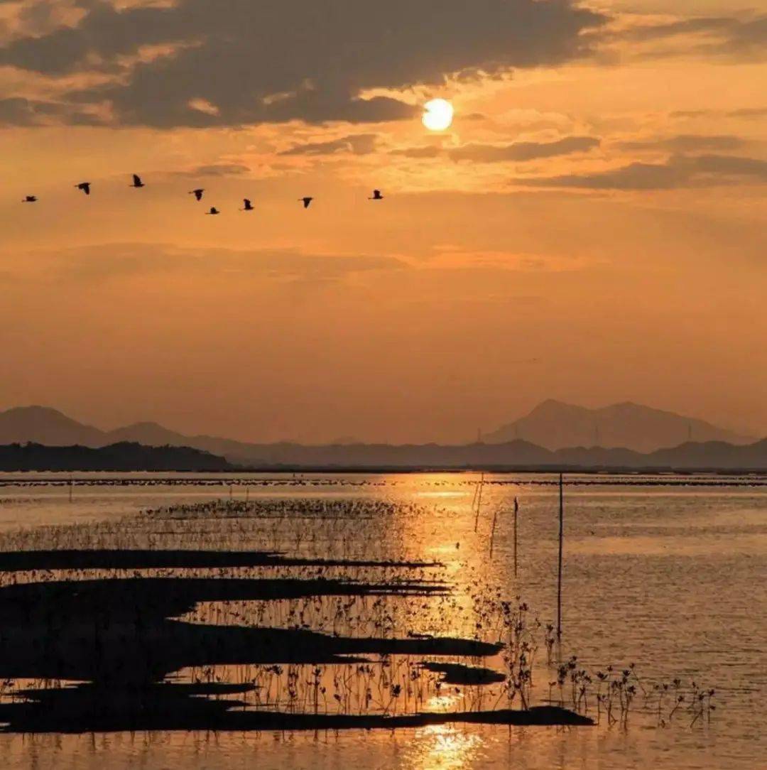 和你一起看惠州的绝美日落_日子_天空_夕阳