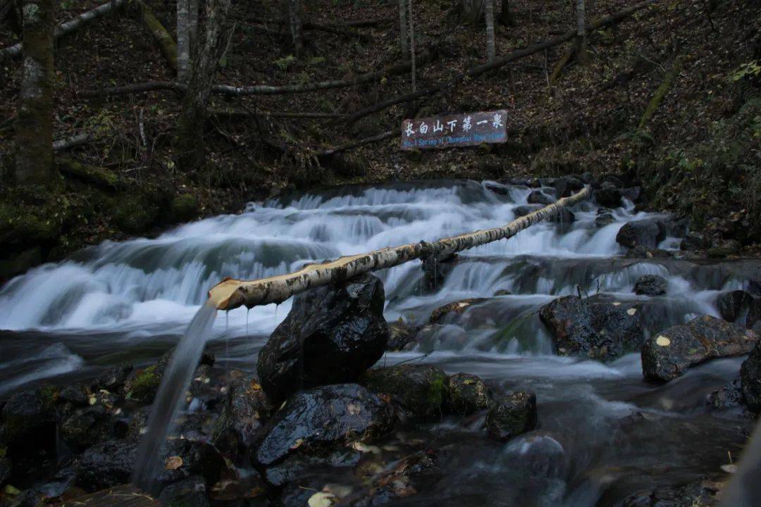将大部分火山碎屑物冲走,留下坚硬的碎屑物就形成了现在峡谷浮石林