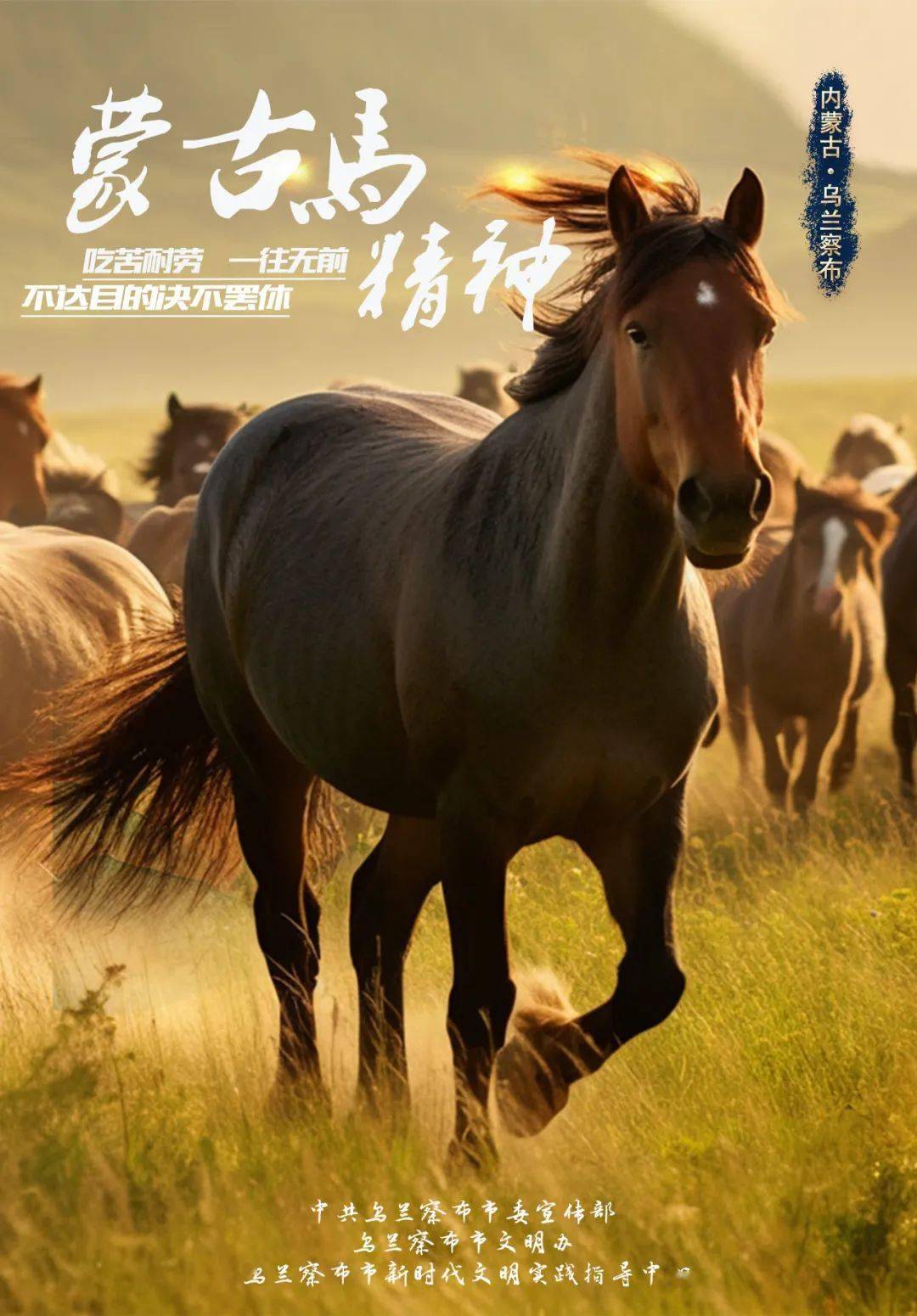 【公益广告展播】蒙古马精神_赵肖梅_实践_审核