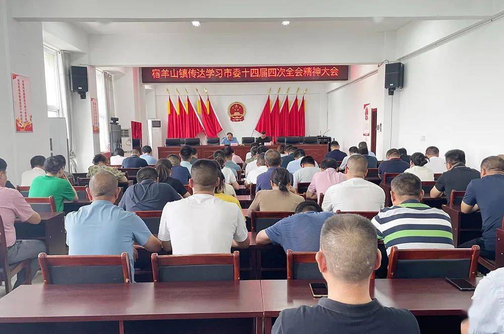 邳州各单位迅速贯彻!_项目_发展_治理