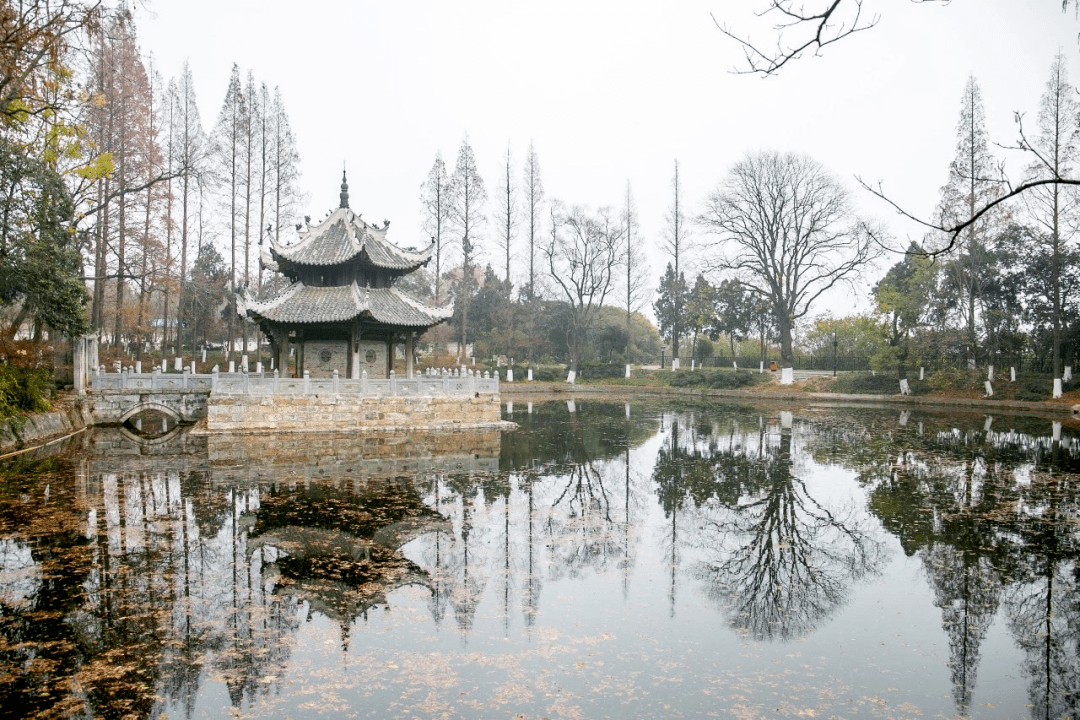 襄阳之子,为何是他?_孟浩然_万山_朋友