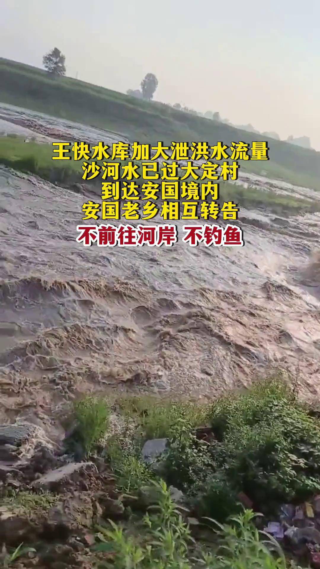 沙河水已过大定村,到达安国境内,安国老乡相互转告王快水库 泄洪 安国