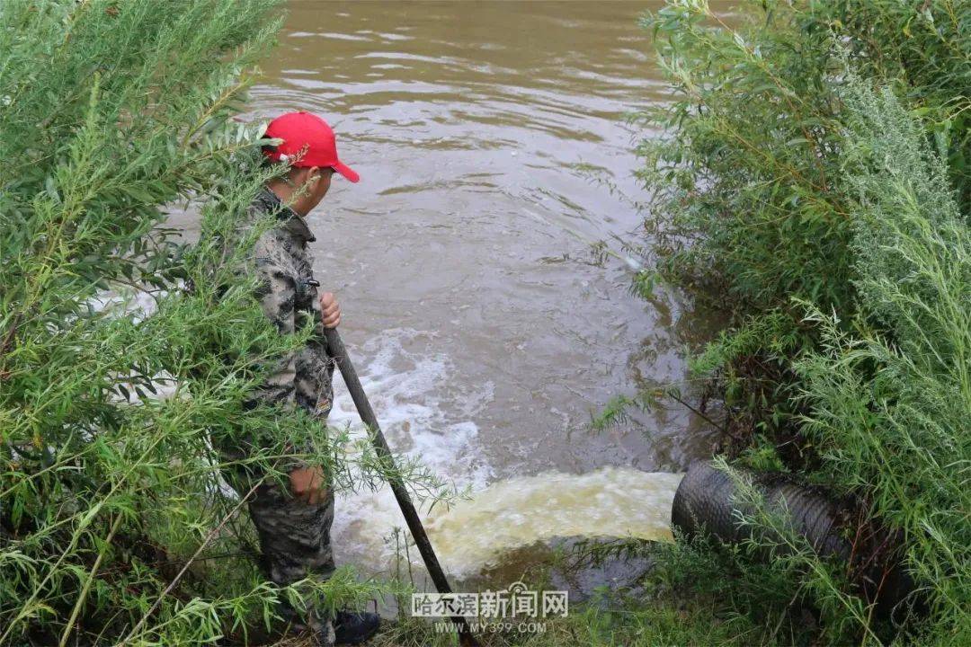 【迎战洪水】昼夜不间断抽水排涝作业|岔林河农场强排内涝保良田_排水