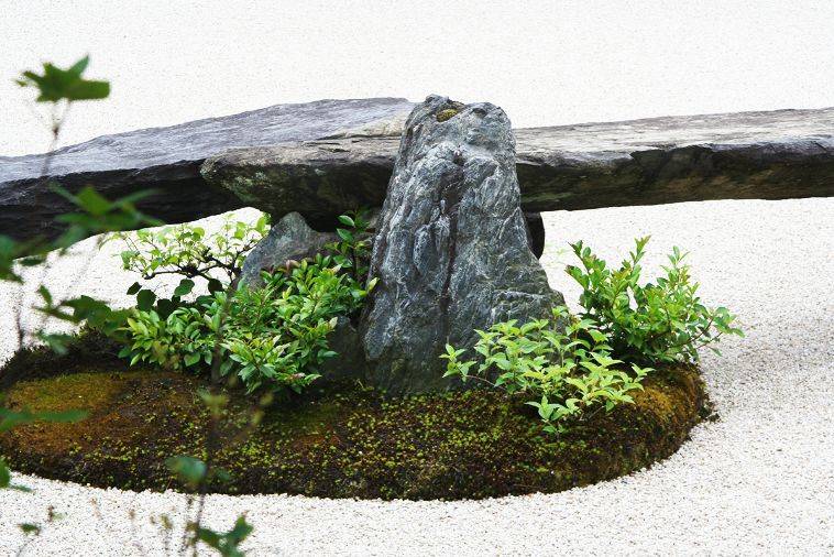 园艺 | 苔藓|微景观 | 传统文化| 庭院情怀| 视觉新浪微博id:行行之沙
